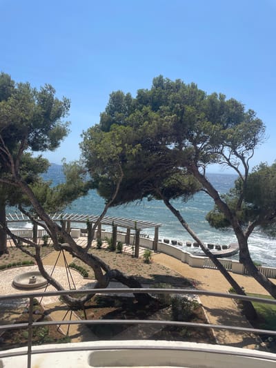 The image depicts a scenic view of the Mediterranean coast in Carqueiranne, France, likely from a balcony or elevated vantage point. In the foreground, large pine trees with gnarled branches partially obscure the view of a landscaped garden. The garden features gravel pathways, low-lying plants, and a circular stone fountain. Beyond the garden, a white railing and a pergola structure line a promenade overlooking the sea. The sea itself is a vibrant blue, with choppy waves and a distant, hazy shoreline. The sky is a clear, bright blue, indicating a sunny day. No people are visible in the frame. The overall impression is one of a tranquil coastal resort.