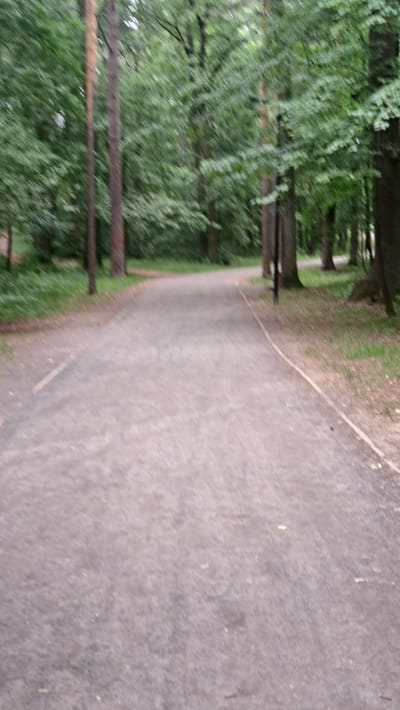 The image depicts a blurred, low-angle perspective of a paved path winding through a wooded area. The path is a dull, light gray color, with a thin, lighter-colored line running along its right edge, possibly marking a boundary or lane. The surrounding environment is dominated by dense foliage and trees, with the leaves appearing a vibrant green. The trees are tall and slender, with visible bark textures and shadows cast by their branches. The overall impression is one of a tranquil, natural setting, likely a park or a walking trail within a green space. The image's blurriness suggests movement, possibly captured while walking or cycling. Without specific landmarks or identifying features, it is impossible to determine the exact location within Lytkarino, Russia.