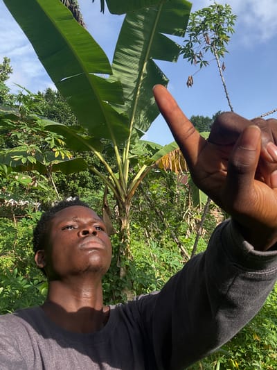 The image shows a dark-skinned person with short dark hair and a gray long-sleeved shirt. The person is outdoors, surrounded by lush green vegetation including banana leaves and other trees. The sky is visible in the background. The person's hand is raised in the foreground, pointing with the index finger. The location is implied to be near Itu, Nigeria, based on the user request.