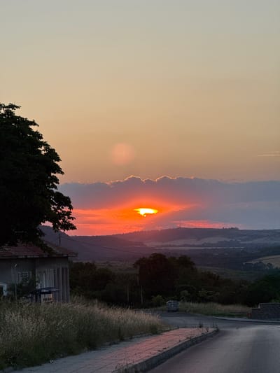 The image depicts a scenic sunset in Medovo, Bulgaria. The sun, a vibrant orange orb, is partially obscured by a dramatic cloud formation, casting warm hues of orange and pink across the sky. The sky transitions from a soft, pale yellow on the left to more intense sunset colors as it nears the horizon on the right. In the foreground, a large, dark green tree with dense foliage dominates the lower left portion of the frame.
The background reveals rolling hills and a valley, with layers of distant mountains fading into a dusky haze. A road with a paved sidewalk runs along the right side of the image, bordered by tall, dry grass. A few structures are visible, including a building with a tiled roof and a more modern building with a grey facade and what appears to be a blue bench or seating area in front of it. There are no people visible in the image. The time of day is clearly sunset, indicated by the colors of the sky and the low angle of the sun. The weather appears clear, with the clouds serving as a dramatic backdrop for the sunset. The overall emotion evoked is one of natural beauty and tranquility. No visible text is present.