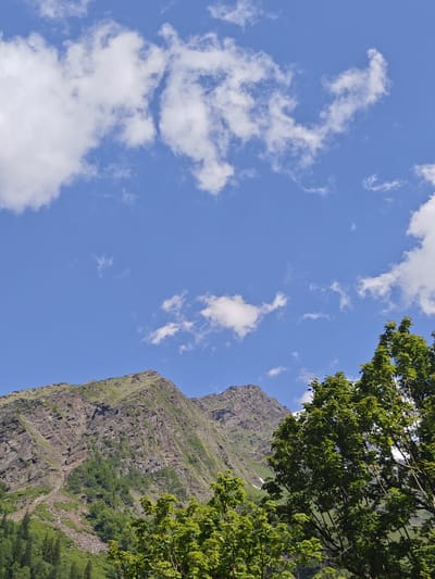 The image displays a mountainous landscape with a clear blue sky filled with scattered white clouds. In the foreground, lush green trees, some with vibrant green leaves, dominate the lower right portion of the frame. Behind the trees, a rugged, rocky mountain rises, its slopes covered in patches of green vegetation. The mountain's texture is rough, showing layers of rock and scree. In the background, additional peaks are visible, some with remnants of snow. The scene appears to be an outdoor natural environment, possibly in or near the city of Burwa, India, given the context. No people or specific actions are depicted.