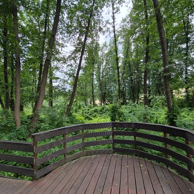 The image shows a wooden deck and railing overlooking a dense forest. The deck is made of weathered, dark brown planks, and the railing is constructed from dark brown wood with horizontal slats. The forest behind the railing is lush and green, with numerous trees and undergrowth. The lighting suggests an overcast day. The scene appears to be a park or recreational area within the city of Liski, Russia, likely a nature trail or overlook. There are no people visible in the image.