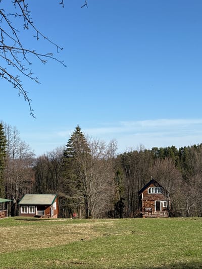 The image shows a rural scene with two wooden houses situated next to a forest and a grassy field. The sky is clear and blue. The location is potentially Galevo, Russia. Details of people or specific actions are not visible. The environment consists of trees in the early spring with bare branches, houses, and grass.