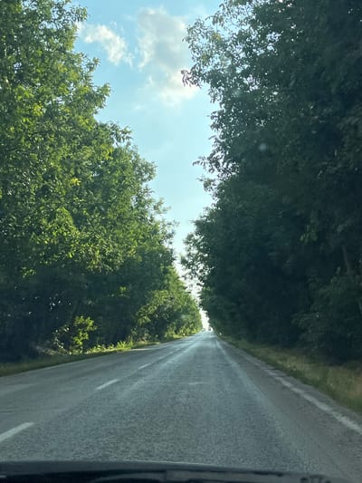 The image depicts a rural road lined with dense green trees on both sides. The perspective suggests the photo was taken from a moving vehicle, looking forward and slightly upwards. The road is asphalt with visible white lane markings and appears wet, reflecting the sunlight. The sky above is a bright blue with scattered white clouds, indicating a clear, sunny day, likely late morning or early afternoon due to the quality of light. The abundant foliage suggests a temperate climate during the warmer months. There are no people or animals visible. The overall impression is of a serene, natural landscape on a pleasant day. The location context of Maslarevo, Bulgaria, implies this is a common rural road scene within that region.