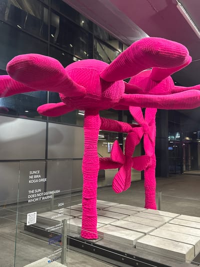 This is a photograph of a large, bright pink knitted sculpture of what appears to be a stylized flower or abstract plant. The sculpture is predominantly a vibrant fuchsia color and features large, rounded petals or leaves extending outwards from a central stem. The texture of the sculpture is clearly defined by the knitted material, showing intricate patterns and stitches.
The sculpture is situated outdoors, in what seems to be a public space, possibly an airport or a modern plaza. In the background, there is a building with large glass windows reflecting light. The sculpture is displayed on a platform made of concrete blocks.
On a glass panel in front of the sculpture, there is text. The visible text reads: "SUNCE NE BIRA KOGA GREJE" which translates to "THE SUN DOES NOT DISTINGUISH WHOM IT WARMS". Below this, it indicates the year "2024.", the artist "Jelena Blečić", and information about the realization of the project "realizovano u saradnji sa in collaboration with BELGRADE AIRPORTS", and a sponsor "uz podršku with the support of AikBank".
The location is identified as Surcin Urban Municipality, Serbia. The overall impression is of an art installation in a contemporary urban setting, likely at Belgrade Nikola Tesla Airport, given the explicit mention of "BELGRADE AIRPORTS". The lighting suggests it might be evening or a dimly lit indoor area. There are no people visible in the immediate vicinity of the sculpture.