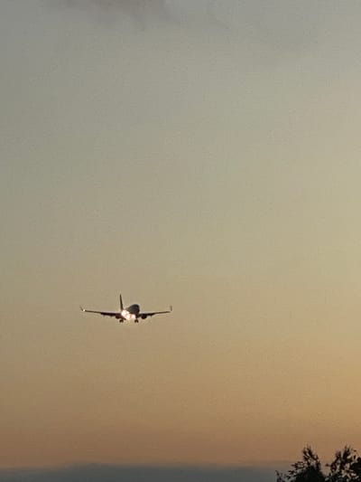 The image depicts a commercial jet aircraft in flight, observed from below against a subdued, hazy sky. The aircraft appears as a dark silhouette, highlighting its two prominent engines positioned beneath the wings. These engines emit a striking, bright orange-red glow, indicative of either engine exhaust during operation, hot components, or powerful navigation/landing lights active in low light. The perspective clearly shows the underside of the fuselage and parts of the wings, with the tail section extending upwards.

The sky is a soft, uniform expanse transitioning from light grey on the left to warm beige and light orange tones on the right, strongly suggesting either dusk or dawn. The low ambient light intensifies the visual impact of the glowing engines. A small section of dark, blurred foliage, likely from a tree, is visible in the upper right corner, indicating the photograph was taken from a ground-level vantage point.

Given the context of Otopeni, Romania, the aircraft is most likely engaged in activities related to Henri Coandă International Airport (OTP), either ascending after takeoff or descending for landing. No people or discernible text are visible in the image. The scene conveys a sense of power and motion against a serene, muted backdrop.