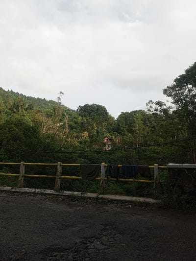 A verdant hillside with dense foliage fills the scene. A small structure peeks through the trees. A yellow railing runs horizontally across the midground, with laundry hanging on it. An asphalt road stretches into the distance. The sky is overcast, lending a muted tone to the landscape.