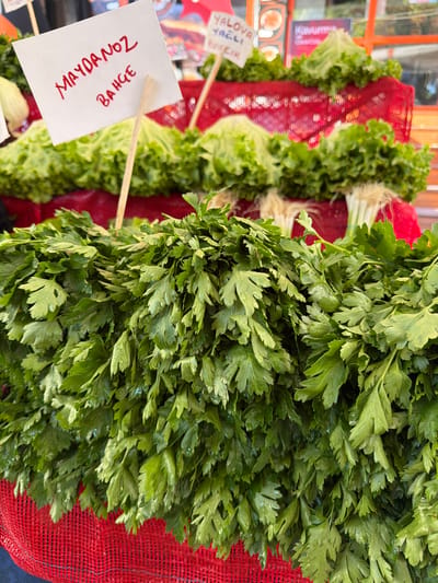 This image is a close-up shot of fresh parsley at a market stall, likely in Üsküdar, Turkey. The foreground is dominated by a large bunch of vibrant green parsley, its leaves glistening with what appears to be water droplets. The parsley is resting on a textured red mesh bag. Behind the parsley, several heads of lettuce are visible, also appearing fresh and green. A white sign with red handwritten text is stuck into the lettuce, reading "MAYDONOZ BAHÇE" and another partially visible sign with "YALOVA YAĞLI KUZUCUK." The background is slightly blurred, showing more produce and hints of a market environment, possibly with orange-tinted awnings or structures. The lighting suggests it is daytime.
