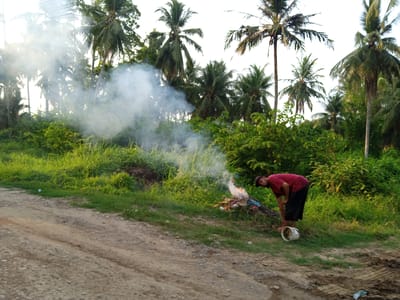 In Blang Mee, Indonesia, a person wearing a red shirt and black shorts is observed tending to a small, smoky fire. The fire, composed of dry plant matter and debris, is situated on a grassy area adjacent to a dirt road. Behind the fire, lush green vegetation and palm trees create a tropical backdrop. A white bucket is placed on the ground near the person. The scene appears to be outdoors, likely in a rural or semi-rural setting.
