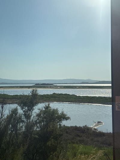 The image shows a landscape scene in Bages, France, characterized by a body of water, vegetation, and distant hills. The foreground features dense, dark green shrubs and trees, with some taller, sparser trees towards the left. Beyond this, a calm body of water reflects the bright sky, with ripples indicating a gentle breeze. In the mid-ground, a strip of lush green vegetation runs along the edge of another section of water, which is wider and appears more open. Further in the distance, a small island or peninsula with buildings is visible, surrounded by water. The background consists of hazy, layered hills under a clear, pale blue sky. A vertical dark grey structure, possibly a pillar or building edge, is present on the right side of the image, with a small rectangular sign attached to it showing white numbers "423" and "36" on a dark background. The overall impression is one of a tranquil, natural environment.