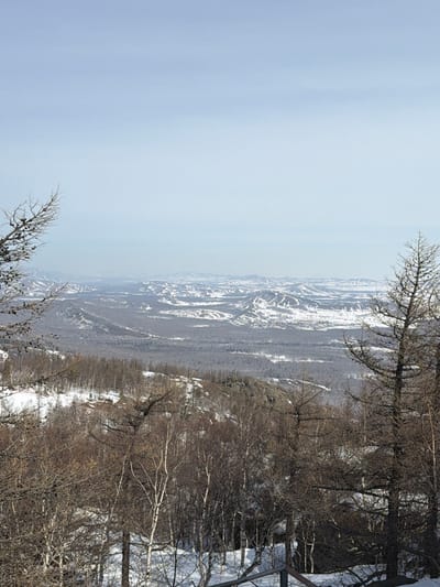 This image depicts a panoramic winter landscape from an elevated viewpoint in Zelenaya Polyana, Russia. The scene is dominated by snow-covered terrain under a light blue, hazy sky, which occupies the upper third of the frame. In the immediate foreground, sparse, bare deciduous trees, primarily birches with white bark, and darker coniferous trees with visible cones and needles (likely larch) are present. Patches of snow cover the ground, interspersed with exposed brown soil and dark rocks. A dark, partial railing or structure is visible in the bottom right corner. The mid-ground features a vast expanse of snow-dusted evergreen forest covering undulating hills and a valley floor. In the distant background, multiple layers of snow-capped mountains and hills extend to the horizon, appearing lighter and bluer due to atmospheric perspective. These distant hills exhibit varied patterns of white snow and darker forested areas, with some suggesting cleared or skiable slopes. No people, specific actions, or interactions are visible.