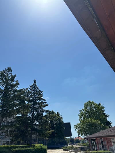 The image captures a bright, sunny day with a clear blue sky dominating the upper portion. In the foreground, a portion of a wooden structure, likely a roof or overhang, is visible on the right, casting a shadow. Several evergreen trees, including tall fir trees, are prominently featured on the left and center, their dark green foliage contrasting with the sky. Behind the trees on the left, a multi-story building with a light-colored facade and windows can be seen. Further into the background, more trees and some residential buildings with terracotta roofs are visible. A building with a dark, angled roof is positioned in the mid-ground. The lower part of the image shows manicured green hedges and a paved walkway. The scene appears to be an outdoor public space, possibly a park or a commercial area, in Aksakovo, Bulgaria. No people are clearly discernible in the image.