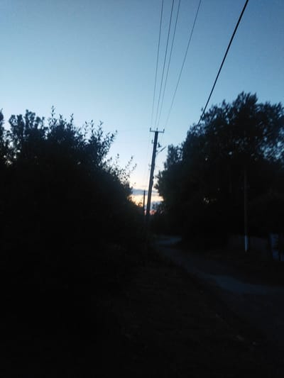 The image depicts a dimly lit outdoor scene, likely at dusk or dawn, with a clear sky transitioning from deep blue to lighter hues towards the horizon. Silhouetted against the sky are several power lines strung between poles. On the left side of the frame, dense, dark foliage forms a prominent silhouette, suggesting trees or bushes. A utility pole with visible crossbars is positioned slightly left of center. To the right, more trees are visible, also in silhouette. The ground appears to be a dirt road or path, with some indistinct shapes that could be vegetation or other natural elements. The overall impression is one of a rural or semi-rural setting in Sosnivka, Ukraine, characterized by the presence of power infrastructure and natural vegetation. There are no people or active events depicted in the image.