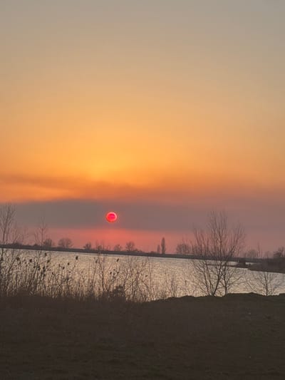 The image depicts a twilight natural landscape, presumably a sunset or sunrise, over a body of water in the city of Utash, Russia. The sky, occupying the upper two-thirds of the frame, displays a prominent gradient of colors, transitioning from light beige-orange at the top, deepening to a vibrant orange, and then shifting to reddish-pink closer to the horizon. A distinct, intensely red, circular object, identified as the solar disk, is positioned centrally in the lower-middle portion of the sky, just above the horizon. Below this, a wide, reflective body of water extends across the mid-ground, mirroring the sky's light. The far bank of the water is marked by a low, dark line of distant vegetation, likely trees. The immediate foreground consists of a dark, slightly elevated strip of land. Scattered across this land and along the near bank of the water are several bare trees with visible branch structures and clusters of dried reeds or tall grasses, particularly prominent on the left side. No individuals, animals, structures, or vehicles are present within the scene, and no discernible actions or interactions are taking place.