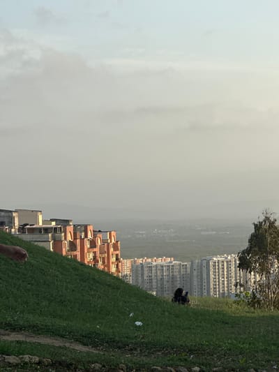 This is a full, eye-level shot of a hazy landscape within Perímetro Urbano Barranquilla, Colombia. In the foreground, a grassy hill slopes down from left to right. On the far left, a person's arm and hand are visible, reaching out slightly. Towards the middle-right of the hill, a lone figure is seated on the grass, looking at a mobile phone. Beyond the hill, a city skyline is visible, characterized by several tall, modern apartment buildings. To the right, a tree stands tall, its branches reaching towards the sky. The sky above is overcast and hazy, with a muted light suggesting either early morning or late afternoon. The overall impression is one of urban sprawl encroaching on a natural incline, with a sense of distance and atmospheric diffusion.