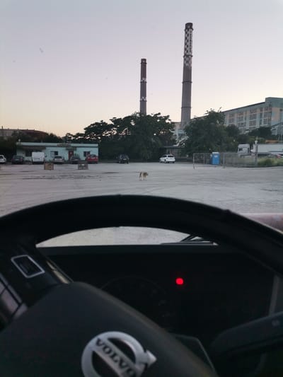The image is taken from the interior of a Volvo truck, looking out at a paved industrial area at dusk. Two large smokestacks with checkered patterns dominate the background, and a multi-story building with many windows is visible to the right of the smokestacks. Several cars, a white van, a blue portable toilet, and a large white truck are parked in the lot. A dog is standing in the middle of the lot. A red indicator light is illuminated on the truck's dashboard. The scene is located in Ezerovo, Bulgaria.