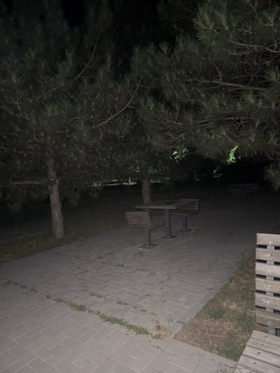 This is a nighttime outdoor scene featuring a paved walkway in Egorlykskaya, Russia. The walkway is constructed of light-colored rectangular pavers laid in a herringbone pattern, with sparse grass growing between some of the stones. Pine trees with dense foliage are prominent, casting shadows and partially obscuring the view of the background.
In the middle ground, there are several picnic tables with attached benches. One table, with a dark tabletop and metal legs, is visible in the left half of the frame. Its accompanying benches are dark wood with metal supports. Further back, another similar table and bench arrangement is present, though less distinctly visible due to the low light conditions. In the far background, more distant picnic tables and benches can be discerned, along with darkness suggesting the edge of the park or wooded area.
To the right of the walkway, in the foreground, a portion of a wooden park bench is visible. The bench appears to be made of light-colored wood slats with metal fastenings. The ground beside the walkway and bench consists of dry grass and soil. The overall lighting is dim, with some faint light filtering through the tree canopy in the distance, possibly from an unseen artificial source. No people are present in the image.