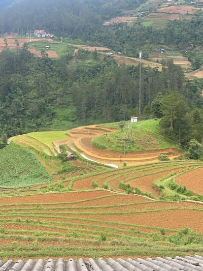 This image depicts a vast, verdant, and cultivated mountainous landscape in Dế Xu Phình, Vietnam, viewed from an elevated perspective. In the immediate foreground, the ridged surface of a grey corrugated roof is partially visible. The scene is dominated by extensive terraced fields carved into steep hillsides, showcasing various stages of agricultural activity.

In the mid-ground, numerous terraces exhibit rich, reddish-brown soil, indicating recently tilled or unplanted plots. Adjacent to these, other terraces are vibrant green with young crops, some appearing to be rice paddies partially submerged in water. A small, rustic hut with a thatched roof is situated among these green terraces, near a winding pathway or irrigation channel. Electrical power lines and wooden poles traverse the slopes, connecting various points within the landscape.

Higher up the central slope, a solitary dark-colored water buffalo is visible grazing on a patch of bright green grass. Directly behind it, a tall, white cellular communication tower equipped with multiple antennas stands prominently on a ridge. A small, white utilitarian building is located near the base of this tower. The slopes are heavily forested with dense clusters of pine trees, interspersed with more patches of cultivated land.

In the background, the terraced fields and forests continue, fading into a light haze. Several clusters of houses, characterized by light-colored walls and distinct reddish-brown roofs, are scattered across distant hilltops. The sky is uniformly light grey, contributing to the hazy atmospheric conditions. No individuals are visibly present in the frame.
