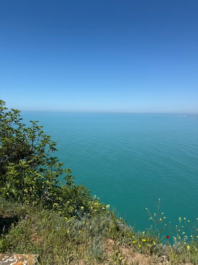 A landscape photograph displays a view from the coast, likely in Balgarevo, Bulgaria, featuring a vertical composition. The clear blue sky occupies the left side, contrasting with the teal-colored sea on the right. A cliff edge runs diagonally, separating the sky and sea. The cliff is covered with green vegetation, including grass, bushes, and small yellow wildflowers. A single red flower is visible among the vegetation. The sea shows subtle ripples, indicating a gentle breeze. The overall scene suggests a sunny day at the coast.
