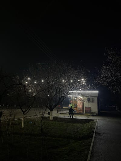 The image captures a nighttime scene in Karmana, Uzbekistan. A solitary individual, dressed in dark attire, is seated on a metal bench with their back to the viewer, facing a brightly illuminated small kiosk. The kiosk, positioned on the right, features a white facade, display windows showcasing various products, and overhead white strip lighting. A red sign with Cyrillic text, "AVTO OVOZ," is visible on the kiosk's right exterior. To the left of the kiosk, a deciduous tree, partially bare, is strung with numerous small, glowing white decorative lights. Further left, another bare tree stands, and patches of sparse grass are visible in the foreground. A paved sidewalk runs along the right side of the frame, and a roadway with faint vehicle taillights is discernible in the background. Overhead utility lines traverse the upper left portion of the dark night sky. The scene is lit primarily by the kiosk's lights and the tree decorations, casting ambient light on the immediate surroundings.