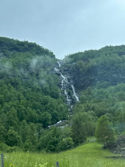 The media file depicts a lush green mountainside in Røldal, Norway. A waterfall cascades down a rocky incline, surrounded by dense trees and vegetation. The sky is overcast, suggesting a cloudy or foggy day, with mist clinging to the mountainside in places. To the right of the waterfall, a vibrant green grassy area is visible, with a wooden fence or railing running along its edge. A few small yellow wildflowers dot the grass. The overall impression is one of natural beauty and tranquility. The image is oriented vertically, with the sky on the left and the mountain and grassy area on the right. No people or text are visible in the image.