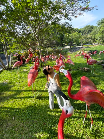 In the city of Thuận Nam, Vietnam, a young woman stands in a park filled with numerous pink flamingo statues. The woman, wearing a white tank top and grey jeans, is facing away from the camera, looking up at the flamingo statues. She has dark hair pulled back in a braid and is wearing sunglasses. The park has lush green grass, trees, and a body of water in the background. The overall scene depicts a bright, sunny day in a recreational area.