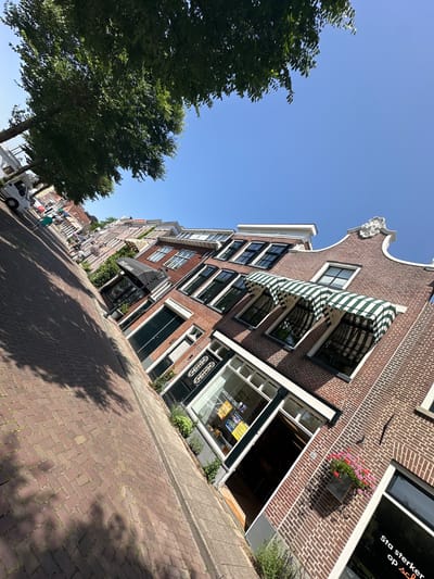 This is a low-angle, wide-shot, full-color photograph taken on a sunny day. The perspective is tilted, giving a dynamic feel to the scene. The image captures a street in Zwolle, Netherlands, with traditional Dutch architecture.

On the right side of the frame, a brick building with multi-paned windows and green striped awnings is prominent. Decorative scrollwork adorns the roofline. Below the windows, a black awning covers a storefront. One window displays posters, and another shows a partial view of the interior. A planter with pink and red flowers hangs on the brick facade. Further down the building, a sign with white lettering on black reads "Sta sterker op sch..."

To the left of the building, a brick-paved sidewalk and street are visible, casting shadows from trees. A line of trees with lush green foliage stretches along the left side of the street, with their branches arching over the road and sidewalk. A white van is parked on the left side of the street. In the distance, more buildings and trees line the street, suggesting a residential or commercial area. The sky is a clear, vibrant blue.