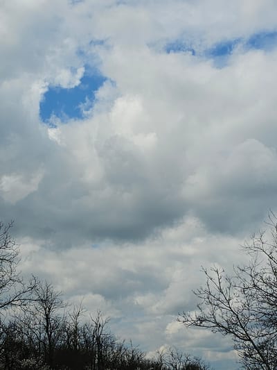 The image shows a cloudy sky with patches of blue visible. Silhouetted bare tree branches are present in the upper right and lower right corners. The scene appears to be in Buinovo, Bulgaria. No people, animals, or specific objects are identifiable. The overall environment is an outdoor setting.