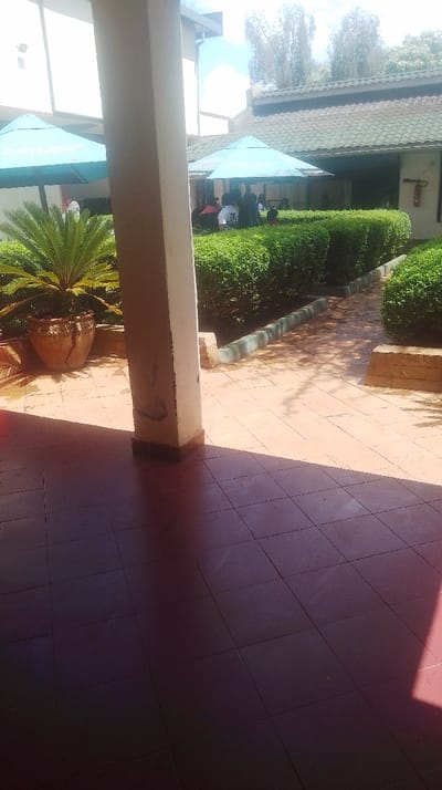 The image displays an outdoor patio or courtyard area located in Kikuyu Township ward, Kenya, illuminated by bright daylight casting sharp shadows. In the foreground, a dark reddish-brown tiled floor covers the immediate ground, with a large shadow extending from the left. A light-colored concrete pillar, showing some surface wear, stands centrally in the mid-left. To the left of the pillar, a large, weathered terracotta pot containing a vibrant green, cycad-like plant is situated on the tiled surface.

Beyond the tiled area, a lighter-colored paved pathway is visible, bordered by low, meticulously trimmed green hedges that define a garden bed or walkway. Behind these hedges, a group of approximately 5-7 individuals are partially visible, gathered beneath at least two prominent light blue promotional umbrellas. The individuals, dressed in casual clothing, appear to be seated or standing and engaged in indistinct social interaction. In the background, a building with a dark, possibly tiled or shingled, roof is visible, and a red fire extinguisher is mounted on an exterior wall to the far right. Trees are present in the distant background under a clear sky with scattered clouds.