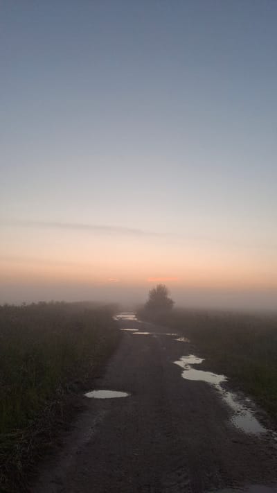 A dirt road with puddles winds through a misty field at dawn. The sky transitions from a pale blue at the top to a soft orange and pink near the horizon. A lone tree stands in the fog on the right side of the road. The field on the left is covered in dark green grass, and the road is muddy and uneven. The scene appears to be located in Kaporskoe, Russia. There are no people or animals visible in the image.