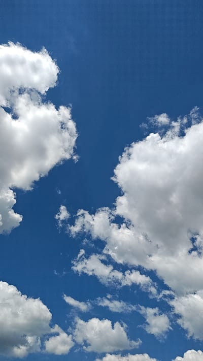 A clear, bright blue sky is populated with scattered, fluffy white cumulus clouds. The clouds vary in size and density, with some appearing thick and voluminous, catching the sunlight and casting subtle shadows, while others are thinner and more wispy. The image captures a serene, natural scene without any discernible man-made structures or individuals present. The perspective suggests the photo was taken from ground level, looking upwards. No specific location in Revne, Ukraine, can be determined from the visual information alone.