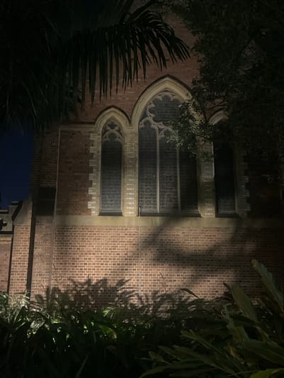 The image shows the exterior of a brick building, possibly a church, at night. The building has Gothic-style arched windows with decorative tracery. The brickwork is visible, and there is a shadow cast on the wall from foliage in the foreground. The lower part of the image is filled with dark green plants. The overall lighting suggests it is nighttime, with artificial lights illuminating the building. The style of architecture and the presence of palm fronds in the upper left corner are consistent with locations in Brisbane, Australia.