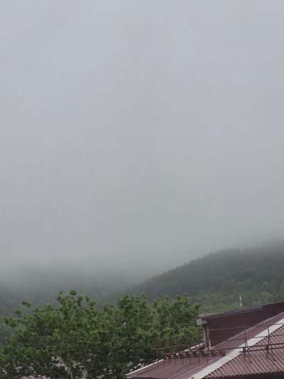 The image captures a misty, overcast day in Uglegorsk, Russia. In the foreground, the metallic, reddish-brown roof of a building is visible, with a rusty metal railing running along its edge. To the left, the dense green foliage of a tree partially obscures the view. In the background, a steep, tree-covered hillside is shrouded in thick fog, with the dense green of the trees gradually fading into the mist. The overall atmosphere is somber and atmospheric, suggesting a cool, damp climate. The image is devoid of any human presence or discernible activity.