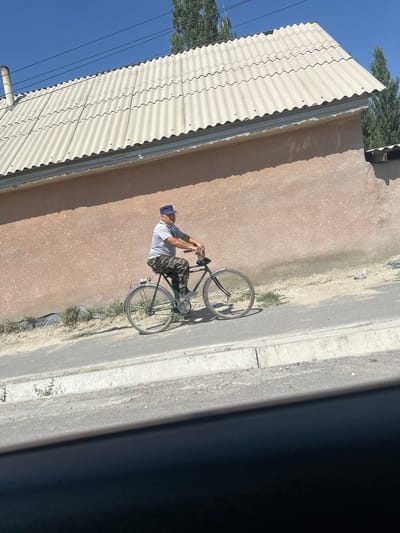 A man wearing a blue cap and a gray and white striped t-shirt with camouflage pants rides a dark green bicycle on an asphalt road. He is riding towards the right of the frame. The bicycle has a silver rack on the back and a light-colored handlebar bag. Behind him is a light pink wall with a textured surface, and above the wall is a light gray corrugated roof. Tall green trees are visible behind the roof. The road has a concrete curb and a drainage ditch. The sky is clear and blue. The image appears to have been taken on a sunny day. The man is in motion, pedaling the bicycle. The setting suggests a residential area in a city or town. Based on the visual cues, this scene is likely located in Ынтымак, Kyrgyzstan.