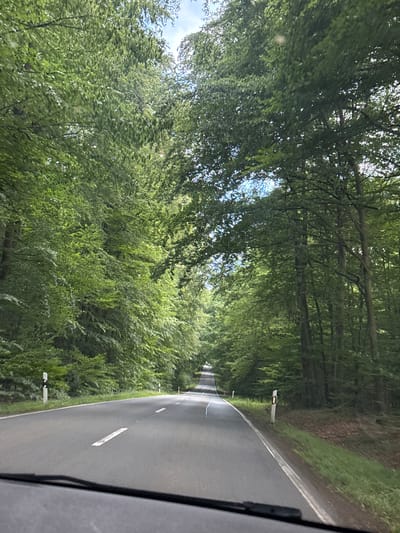 The image depicts a road bordered by dense green trees, likely on a sunny day. The road, which appears to be asphalt, curves gently to the left and is marked with white dashed lines. A portion of a vehicle's windshield and a side mirror are visible in the lower right corner, suggesting the photo was taken from inside a car. The trees on either side of the road form a tunnel-like effect, with sunlight filtering through the leaves, creating dappled shadows on the road surface. Small, white reflective markers are placed along the side of the road at intervals. The lush greenery and the bright sunlight suggest a warm, possibly summer, day in a rural or semi-rural area. The setting could be a scenic route or a road through a forest. No people are visible in the image, and there is no visible text. The location context provided is Volpertshausen, Germany.