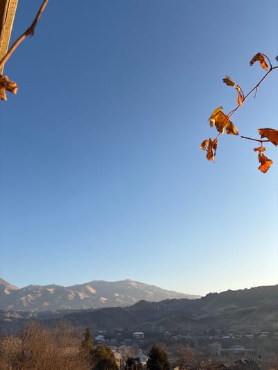 A clear blue sky dominates the scene, with a few autumnal leaves and branches in the upper left corner and lower center. On the right, a mountain range rises, partially obscured by mist or haze. Buildings are sparsely scattered along the mountain slopes. The image seems to be rotated 90 degrees clockwise.