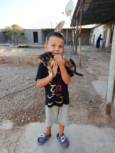 In Sarahs, Turkmenistan, a young boy stands outdoors, cradling a small puppy. He is wearing a black t-shirt with a graphic design and light gray shorts, along with blue Nike slides. The puppy, held securely in the boy's arms, appears to be a mix of brown and black. The background reveals a rustic environment with unpaved ground covered in gravel and some concrete patches. In the distance, there are unfinished buildings constructed with gray concrete blocks and a structure with a corrugated metal roof, supported by metal poles. A woman in a blue robe is visible near a sink against a brick building. Several satellite dishes are mounted on poles, and a bicycle leans against a wall. The scene is illuminated by natural daylight, suggesting it is either morning or late afternoon.