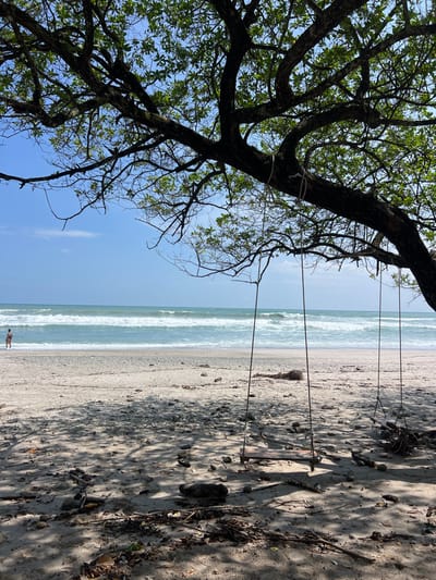 The image shows a sandy beach with a large tree that is partially in the foreground and partially in the background. The tree's branches extend over the beach and the ocean. There is a swing hanging from the tree and the wooden seat is visible on the ground, indicating that someone has been using it. A lone person is walking along the shoreline in the distance. The ocean is visible in the background, with waves crashing on the shore. The sky is clear and blue. The coordinates indicate a location in the Santa Teresa region of Costa Rica. The image is taken during the daytime.