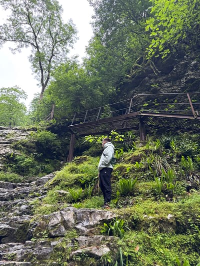 A person stands on a stone cliffside in what appears to be a natural environment. A metal staircase extends towards the left side of the image. Lush greenery, including moss and plants, covers the cliffside and surrounding area. Trees are visible at the top and bottom, suggesting a dense forest location. The image was taken in Tsabal, Abkhazia. The sky is overcast.
