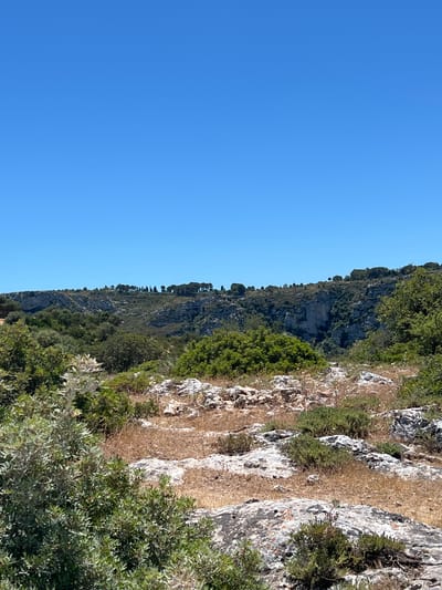 This is a vertical, wide-angle, eye-level shot of a rocky, arid landscape under a clear, bright blue sky. In the foreground, there is dry, brown grass and scattered rocks, interspersed with green shrubs and bushes. The middle ground features more rugged, rocky terrain and dense green vegetation. In the background, a dramatic cliff face rises, with trees dotting the top of the plateau. The scene appears to be a natural, undeveloped area. The overall impression is one of a dry, sunny, and rugged natural environment.