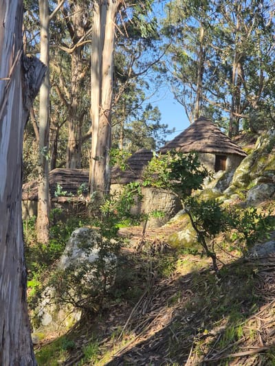A stone building with a thatched roof is nestled amongst trees in Esposende, Portugal. The building is partially integrated into a large rock formation covered with moss and vegetation. Eucalyptus trees are present, and the sky is visible through the branches.
