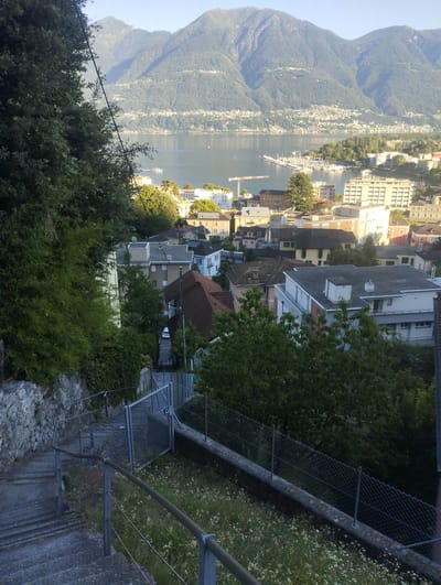 The image captures a descending view of a stone staircase with metal railings, leading down towards a street lined with parked cars and residential buildings. A metal fence with mesh wire runs along the side of the staircase, separating it from a grassy area dotted with small white flowers. Dense green foliage from trees and bushes frames the left side of the scene and overhangs the top of the staircase.
Beyond the immediate foreground, the view opens up to a city with a variety of buildings, ranging from smaller, older structures with tiled roofs to larger, more modern white buildings. In the distance, a wide body of water, likely a lake, is visible, with a small white boat on its surface. Across the water, a densely populated town or city extends along the shoreline, backed by large, tree-covered mountains under a clear, bright sky.
The scene appears to be an outdoor perspective from an elevated position, possibly a hillside overlooking the town of Muralto, Switzerland, given the mountainous backdrop and the presence of a lake. The time of day seems to be late afternoon or early evening, indicated by the soft, warm lighting and the gentle shadows. There are no people visible in the image.