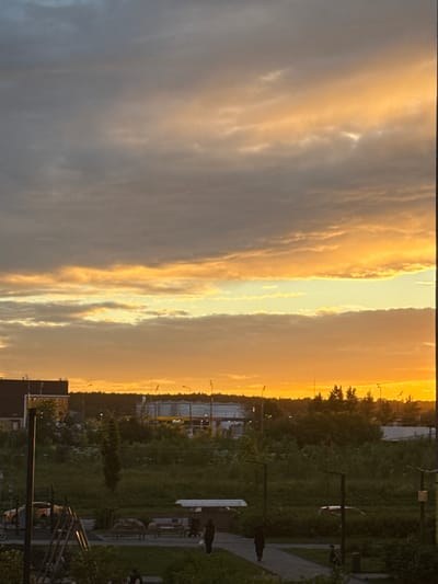 This media file depicts a sky filled with dramatic clouds at sunset. The sky is dominated by shades of orange, yellow, and gray, indicating a sunset or sunrise. The clouds are illuminated by the low sun, creating a striking contrast between light and shadow.
Below the sky, a landscape is visible. The upper portion of the landscape features a treeline silhouetted against the bright sky. The lower portion of the landscape appears to be a mix of grassy areas and possibly some urban or suburban elements like buildings and streetlights. There are lampposts visible in the distance, and a paved walkway with benches can be seen in the foreground on the right side. Some dark shapes on the ground in the foreground might be people or objects, but they are not clearly discernible.
The time of day is clearly sunset or sunrise due to the intense colors in the sky. The weather appears to be partly cloudy, with the clouds contributing to the dramatic visual effect. The overall mood is serene and picturesque, evoked by the beautiful natural light. There is no visible text in the image. The location context is Drozhzhino, Russia.