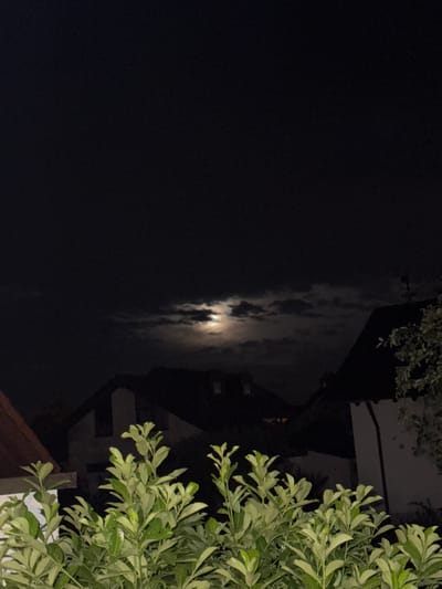 An outdoor, night-time, vertical, medium shot captures a moonlit sky partially obscured by clouds, hovering above the silhouetted roofs of houses in Ellwangen, Germany. In the foreground, lush green foliage fills the lower third of the frame, its leaves illuminated by the ambient light. The moon, visible as a bright orb, shines through a break in the clouds, casting a soft glow on its surroundings. The houses below are dark, with only faint outlines of their structures discernible against the night sky. The overall scene evokes a sense of tranquility and nocturnal beauty.