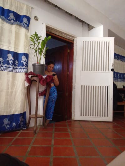 In Atamo Sur, Venezuela, a woman stands inside a room, looking at her phone. She is wearing a blue and white patterned outfit. To her left, a tall potted plant sits on a wooden stand decorated with red and white fabric. Behind her, a wooden door is partially open, leading to another room. To her right, a white louvered door stands open. The floor is tiled with red terracotta squares. Curtains with blue and white floral patterns hang on the left side of the room. The ceiling shows some signs of water damage.
