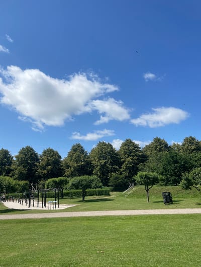 A medium-shot, eye-level, vertical photograph captures an outdoor fitness area at a park in Horsens, Denmark on a sunny day. The sky is a vibrant blue, dotted with fluffy white clouds and several birds in flight. In the foreground, a well-maintained green lawn stretches towards a gravel path. Beyond the path, an exercise area with sand surfacing features multiple pieces of outdoor gym equipment, including parallel bars and pull-up bars. To the right of the fitness equipment, a small slide descends a grassy embankment. Further to the right, a dark-colored cargo bicycle with a covered compartment is parked on the grass. A line of mature trees with full green foliage forms a dense backdrop across the middle ground, with manicured bushes and smaller trees interspersed. The overall scene depicts a recreational space with elements of exercise equipment, natural landscaping, and clear weather.