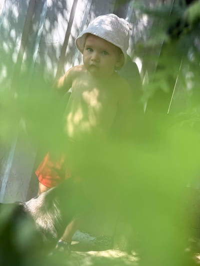 This is a vertically oriented, slightly blurry, close-up image of a young child, possibly a toddler, sitting on outdoor stairs. The child is wearing a white textured hat and red shorts. They have light-colored eyes and are looking directly at the camera. The child's body is partially obscured by a large, out-of-focus area of bright green foliage, suggesting they are viewed through leaves or branches.
The setting appears to be outdoors on a sunny day, indicated by the dappled sunlight and shadows cast on the concrete stairs. The stairs themselves have visible lines and some texture. In the background, to the right of the child, is what appears to be a dark-furred animal, possibly a dog, whose fur is catching the sunlight. The animal's body is also partially obscured by the foreground foliage.
The overall impression is a candid, intimate moment captured from a hidden vantage point, perhaps by a parent or guardian. The soft focus and the framing by greenery create a sense of naturalness and informality. There is no visible text in the image.
