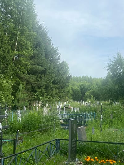 This is a medium shot, eye-level photograph of a cemetery located in the village of Alekseikha, Russia. The cemetery is densely populated with gravestones and fences. The foreground is dominated by a green metal fence and a tall, dark gravestone with an etched portrait. Beyond the fence, numerous white and gray gravestones of various shapes and sizes are visible, many of them overgrown with tall grass and weeds. A darker, more ornate gravestone with a cross is visible to the left. A few instances of orange and purple flowers are present, with the orange ones in the foreground. In the middle ground, more gravestones and fences are present, with a low green fence running horizontally. The background is filled with dense, green foliage of trees and bushes, with a treeline visible in the distance under a pale, overcast sky. The overall impression is one of a well-established, somewhat unkempt cemetery surrounded by nature.