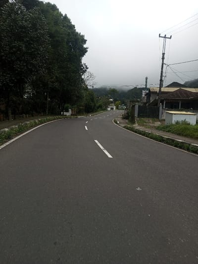 A dark gray asphalt road, featuring a white dashed center line and a solid white line along its left edge, curves through Bangtsho, Bhutan. The road initially bends right, then gently left, receding into a landscape obscured by mist or low clouds. To the immediate left, a dense line of tall green trees parallels a concrete curb with overgrown grass. On the right, a wooden utility pole supporting multiple electrical wires stands near the road, adjacent to an unpaved, grassy shoulder. Beyond the utility pole, several structures are visible, including a building with a brown tiled roof and a smaller, white rectangular edifice. A metal telecommunications tower is discernible on a distant, forested hill. The sky is uniformly overcast and light gray, indicative of a cloudy or foggy day. No individuals, vehicles, or animals are present within the scene.