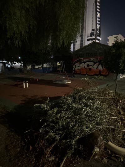 This is a nighttime photograph of an outdoor playground area, possibly in an urban setting, given the presence of a tall building in the background. The scene is dimly lit, suggesting it is nighttime, and the weather appears to be clear.
The main subjects include playground equipment, specifically a seesaw, and overgrown vegetation. A large pile of branches and leaves is prominent in the foreground, obscuring part of the playground. The playground itself is made of red and white materials. In the background, a modern building with many windows is visible, and a section of a wall or structure is covered in graffiti. The graffiti includes large, colorful lettering, primarily in orange and white, and some smaller text, possibly "SLAVIA PRAHA ON".
There is no visible activity or event taking place; the playground appears deserted. The overall mood is somewhat somber due to the darkness and the overgrown nature of the vegetation. The location context of Germasogeia Municipality, Cyprus, suggests a Mediterranean environment, which could explain the type of vegetation. The presence of graffiti hints at a public space that may not be actively maintained.